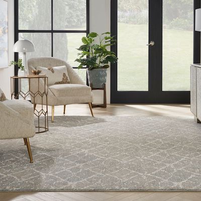 patterned area rug in an elegant living room